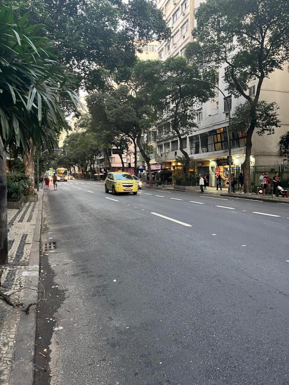Forest In Copacabana Rio de Janeiro