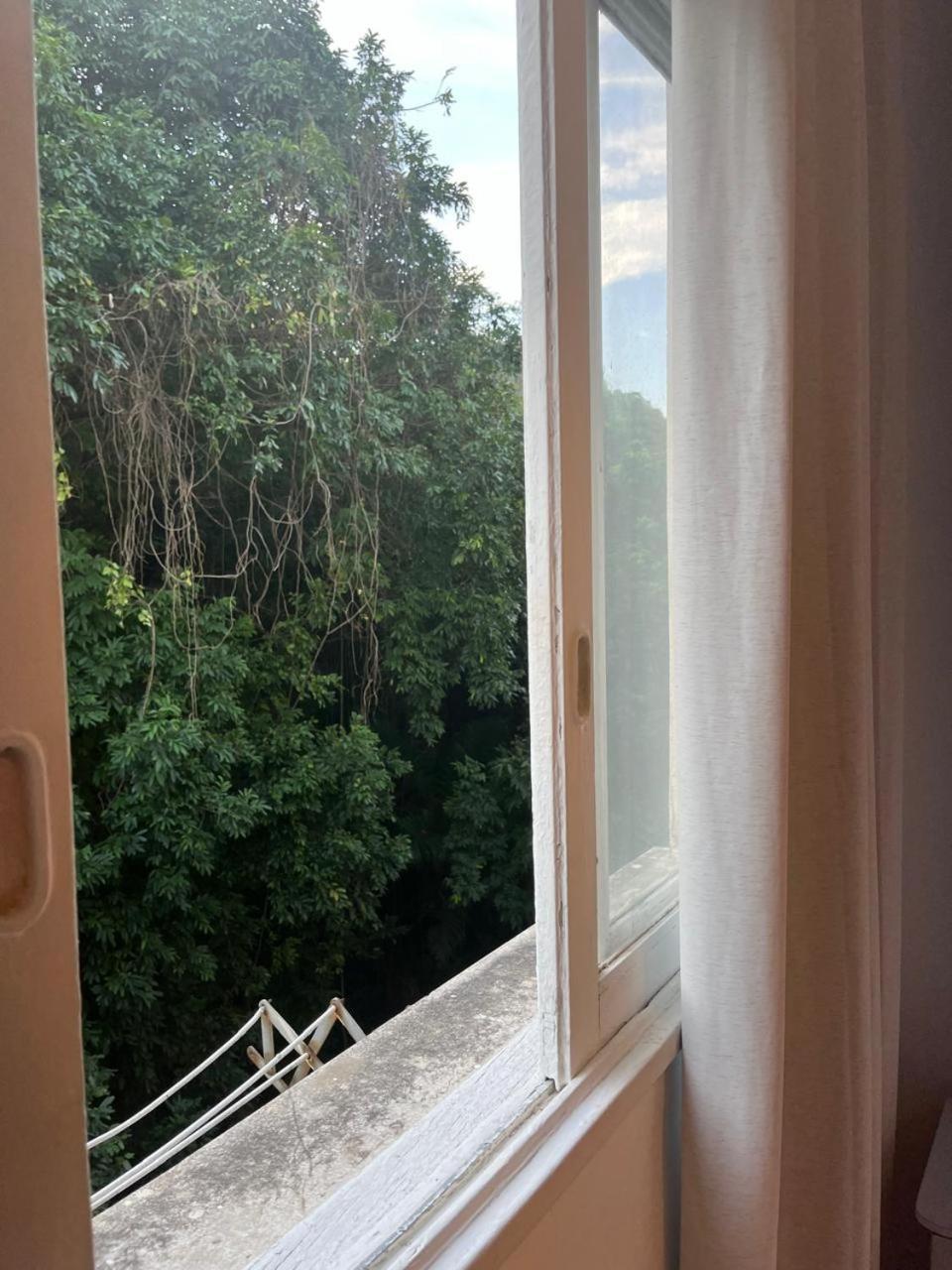 Forest In Copacabana * Rio de Janeiro